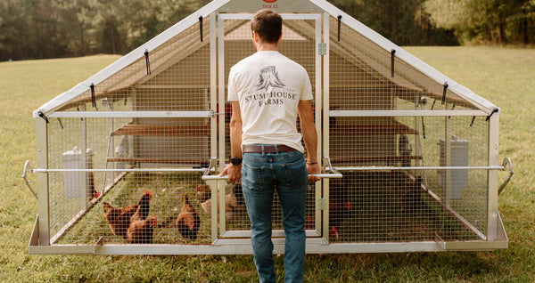 Selecting a Chicken Coop Design: The Essential Elements