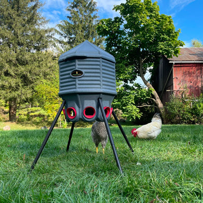 Hatching Time Feed Silo (80 lb) (By CoopWorx)