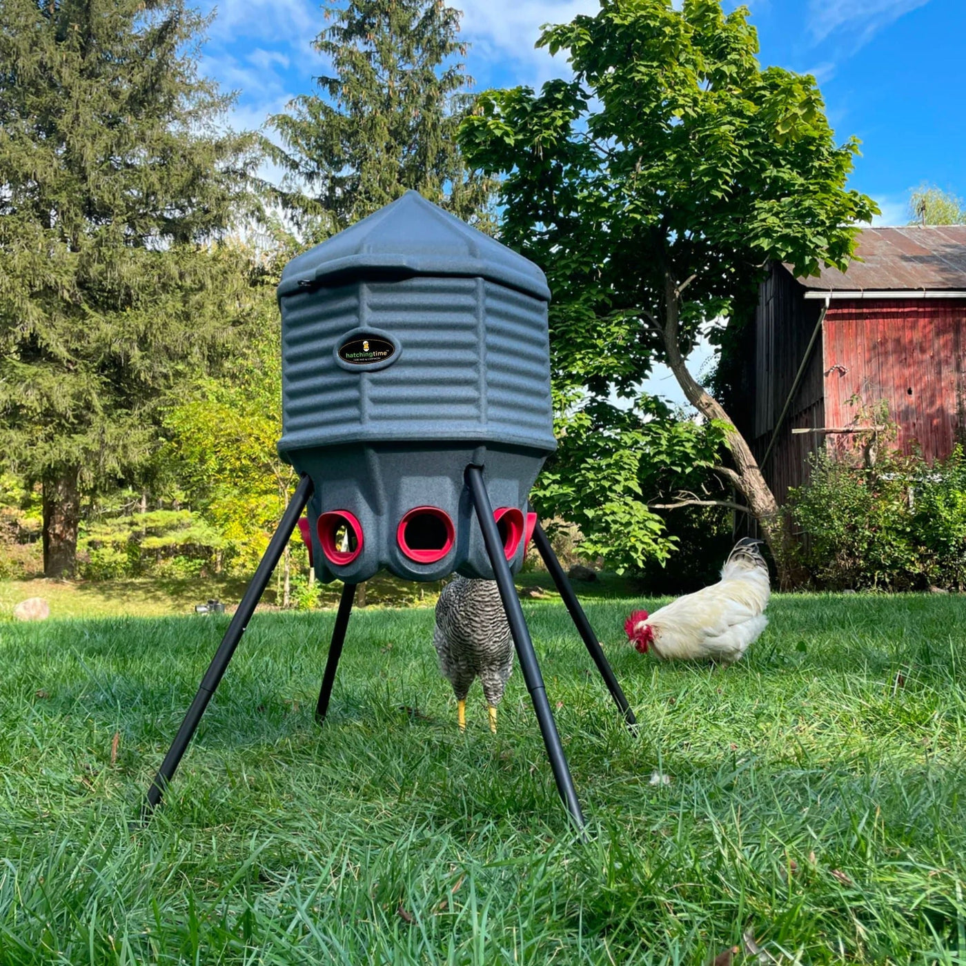 Hatching Time Feed (80lb) & Water (8g) Silo Combo (By CoopWorx)