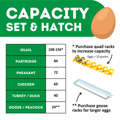 CT60 SH - Egg Incubator - Setter & Hatcher