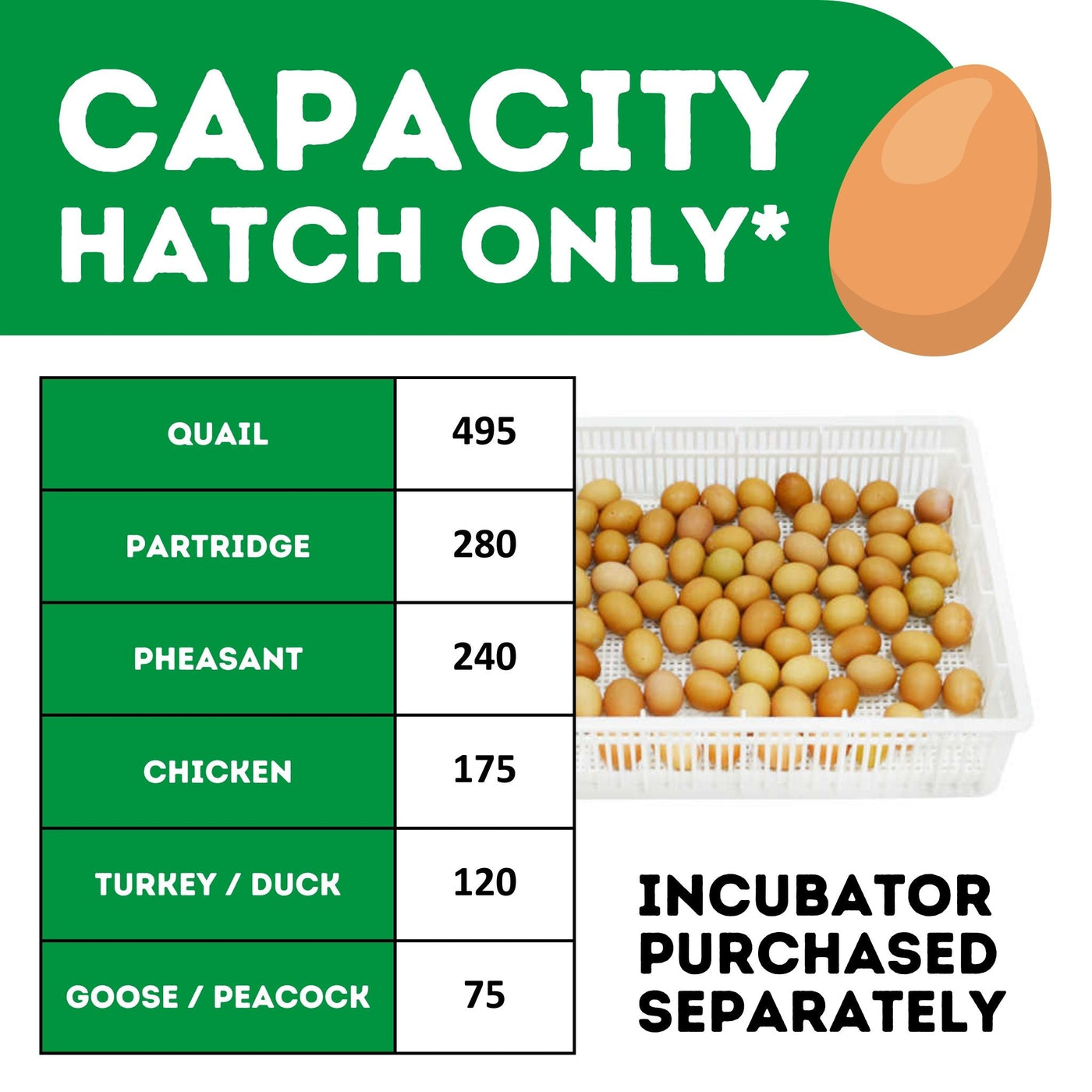 HB175 H - Egg Incubator - Hatcher