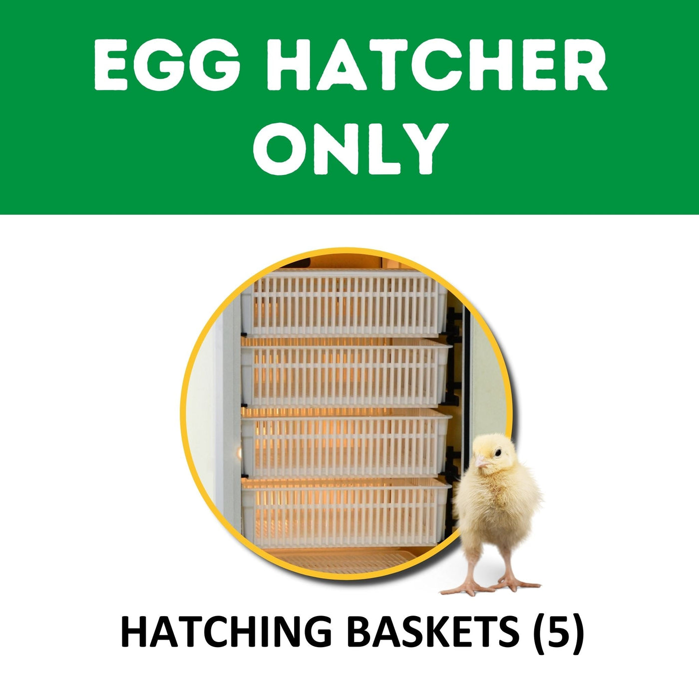 HB175 H - Egg Incubator - Hatcher