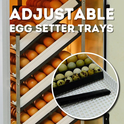 HB175 S - Egg Incubator - Setter