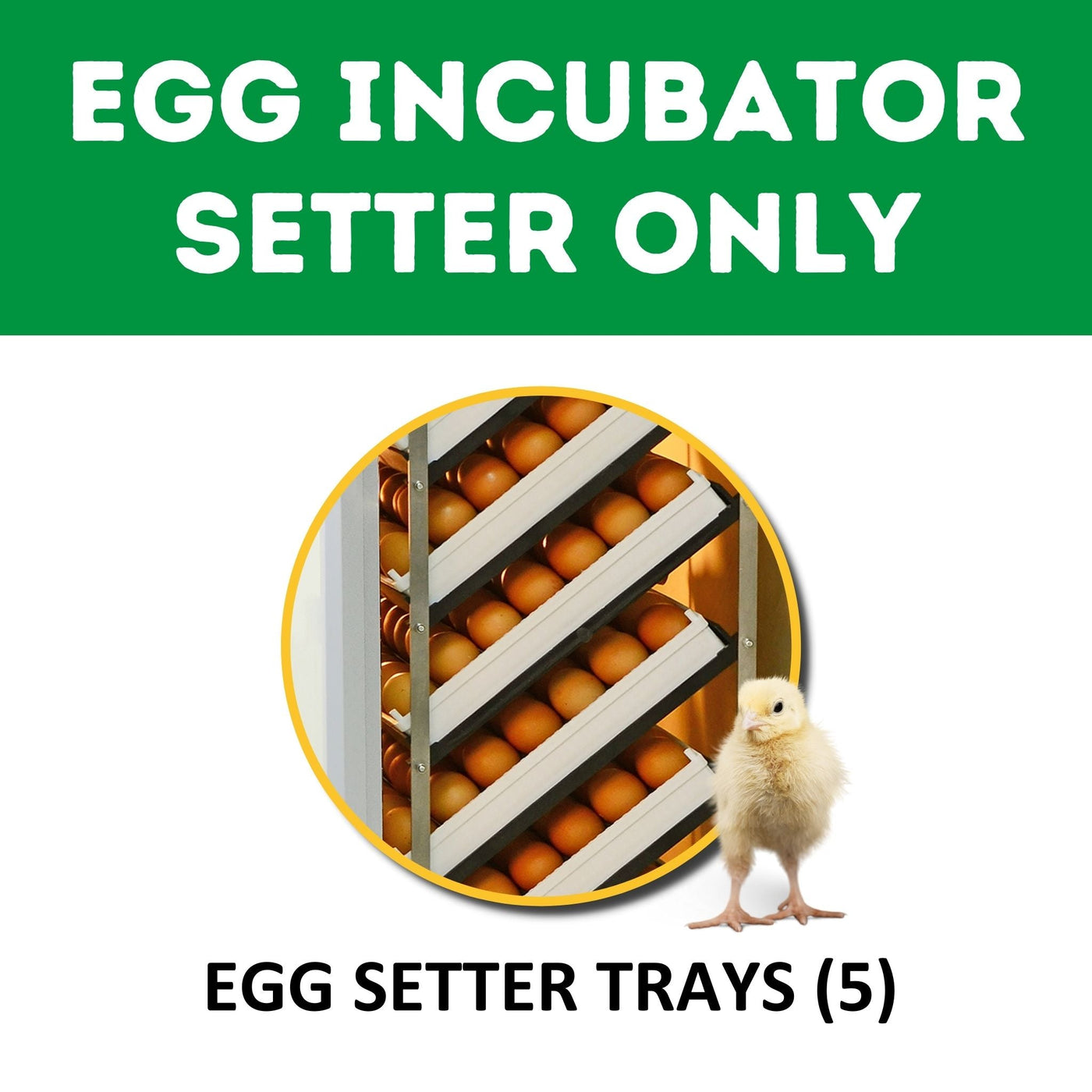 HB175 S - Egg Incubator - Setter