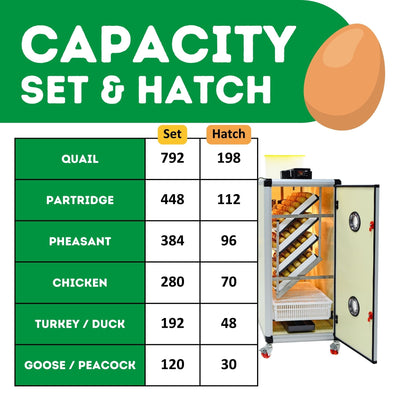 HB350 C - Egg Incubator - Setter & Hatcher