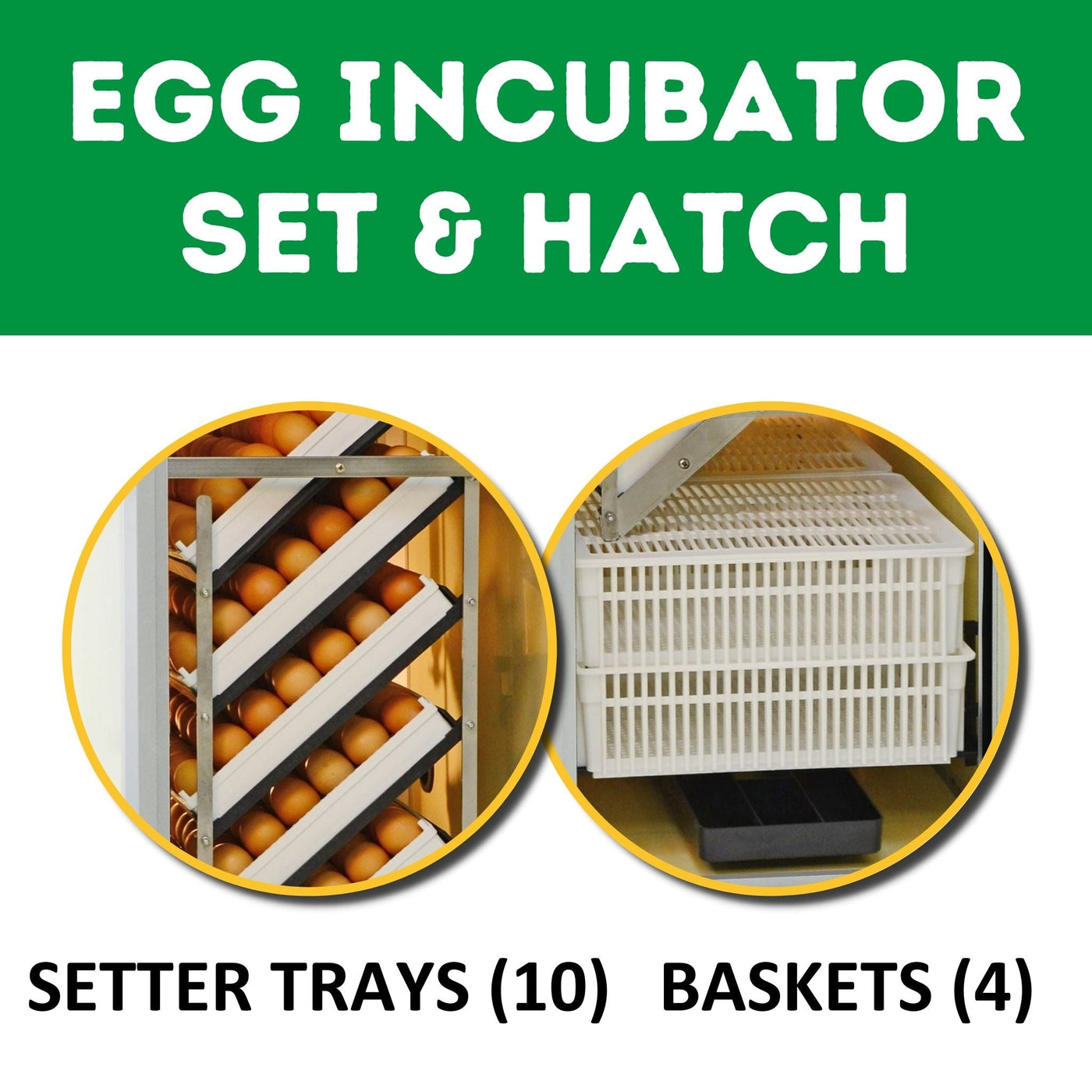 HB350 C - Egg Incubator - Setter & Hatcher