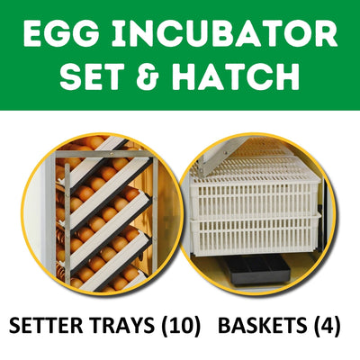 HB350 C - Egg Incubator - Setter & Hatcher