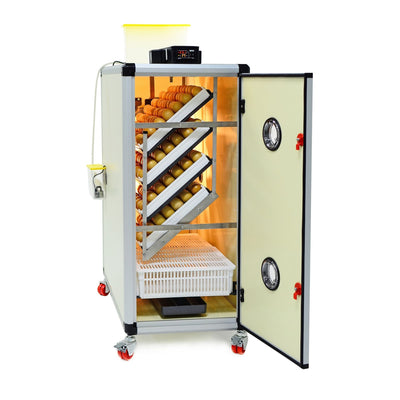 HB350 C - Egg Incubator - Setter & Hatcher