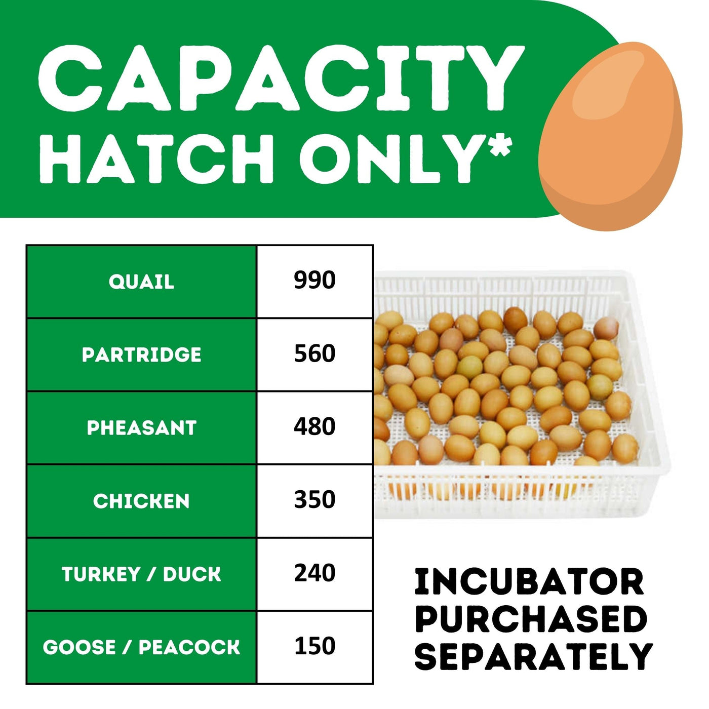 HB350 H - Egg Incubator - Hatcher