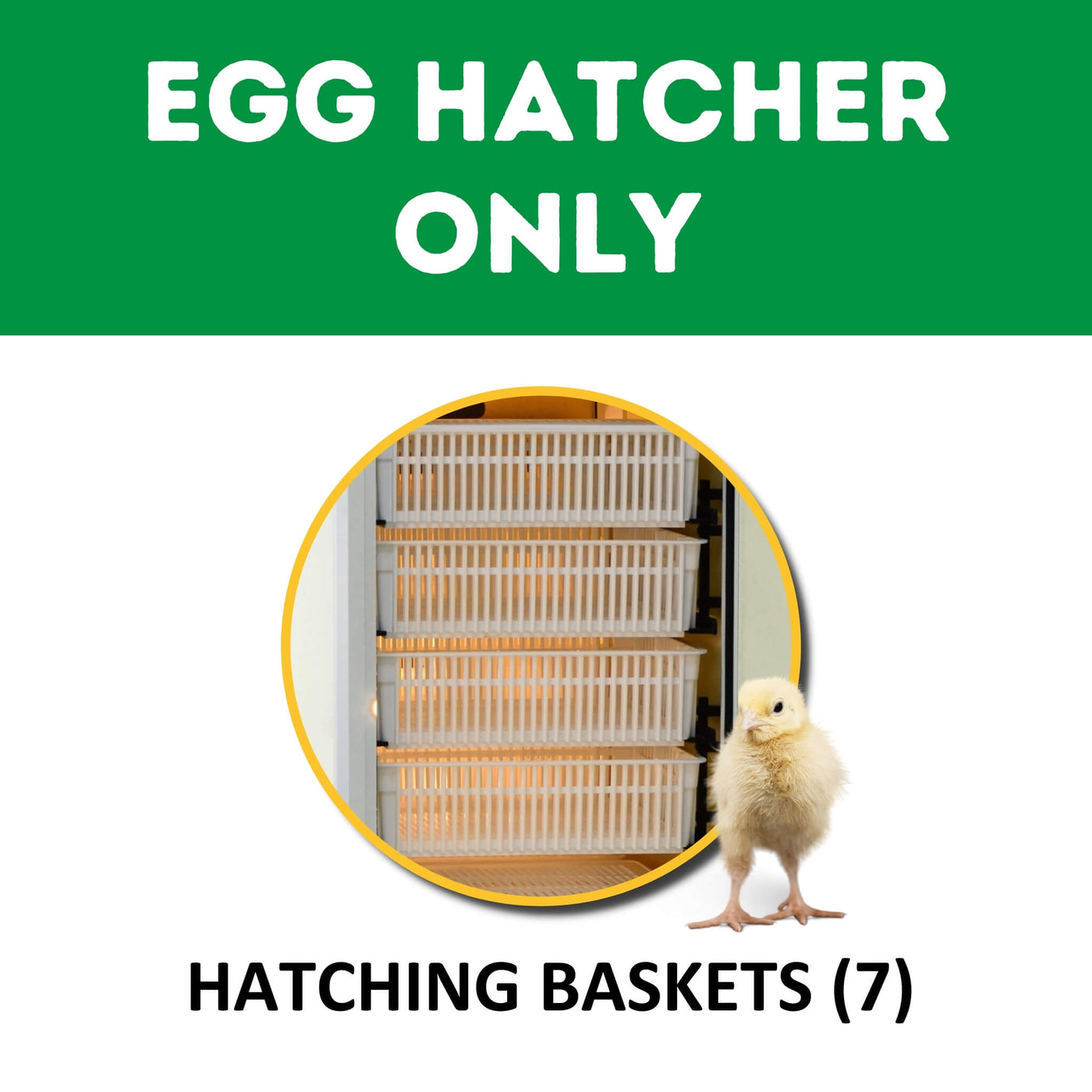HB500 H - Egg Incubator - Hatcher