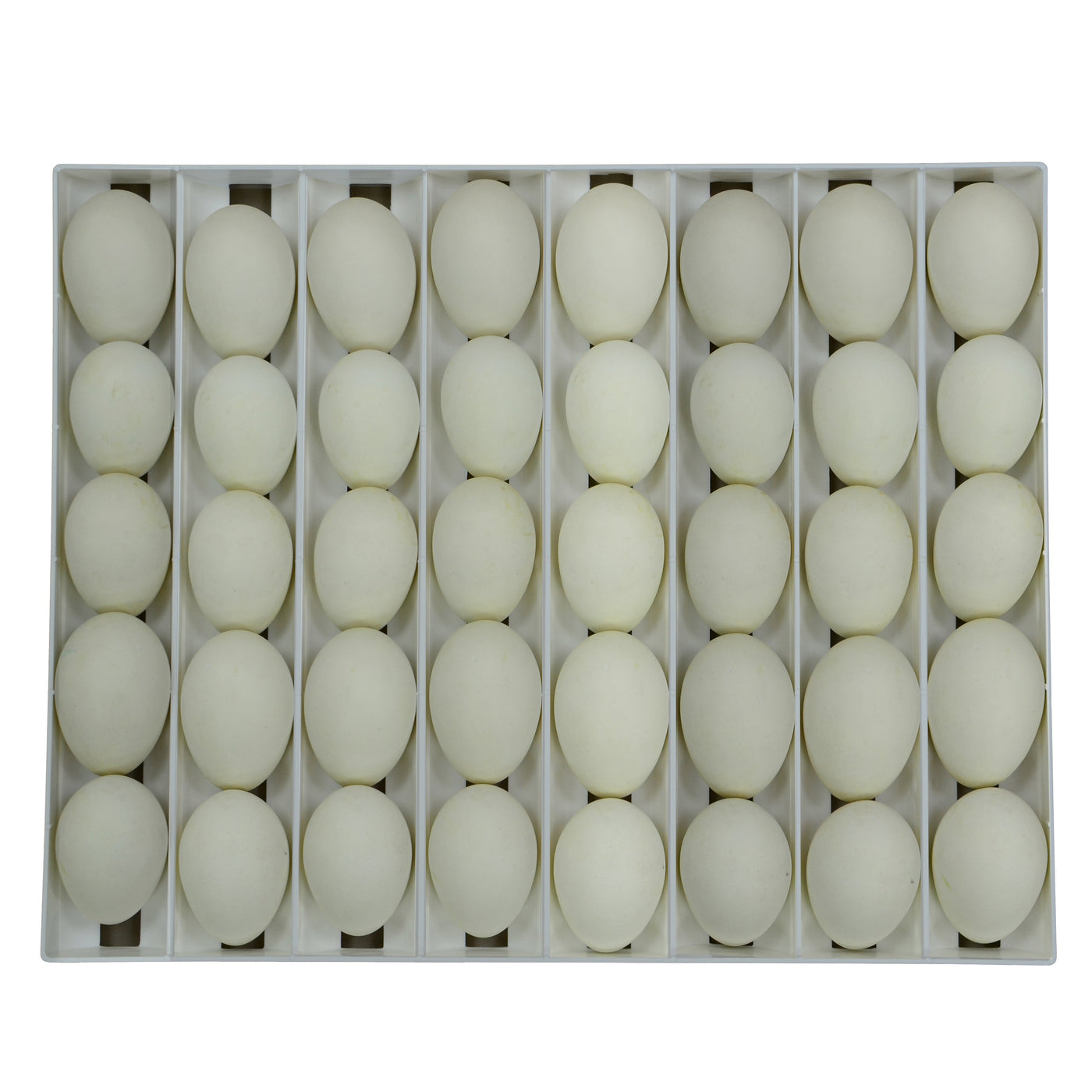 Egg Setter Tray - Goose - 40 Eggs