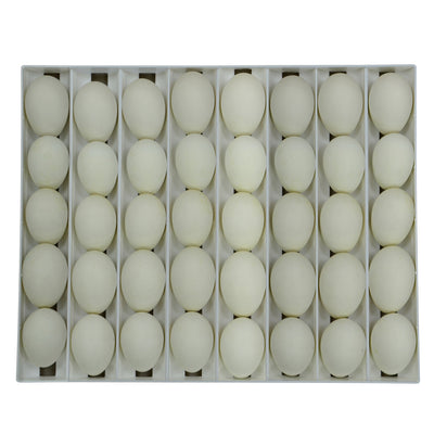 Egg Setter Tray - Goose - 40 Eggs