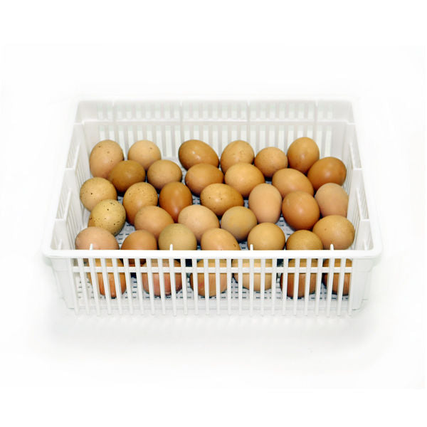 Egg Basket - 35 Eggs -(CS35Y)