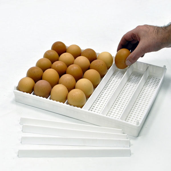 Egg Setter Tray (Flexy35Y)