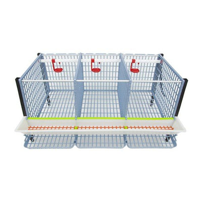 Chicken Cage - 2 Layer H: 15"