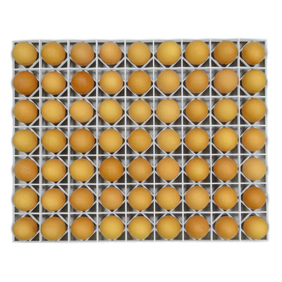 Egg Setter Tray - Chicken - 80 Eggs